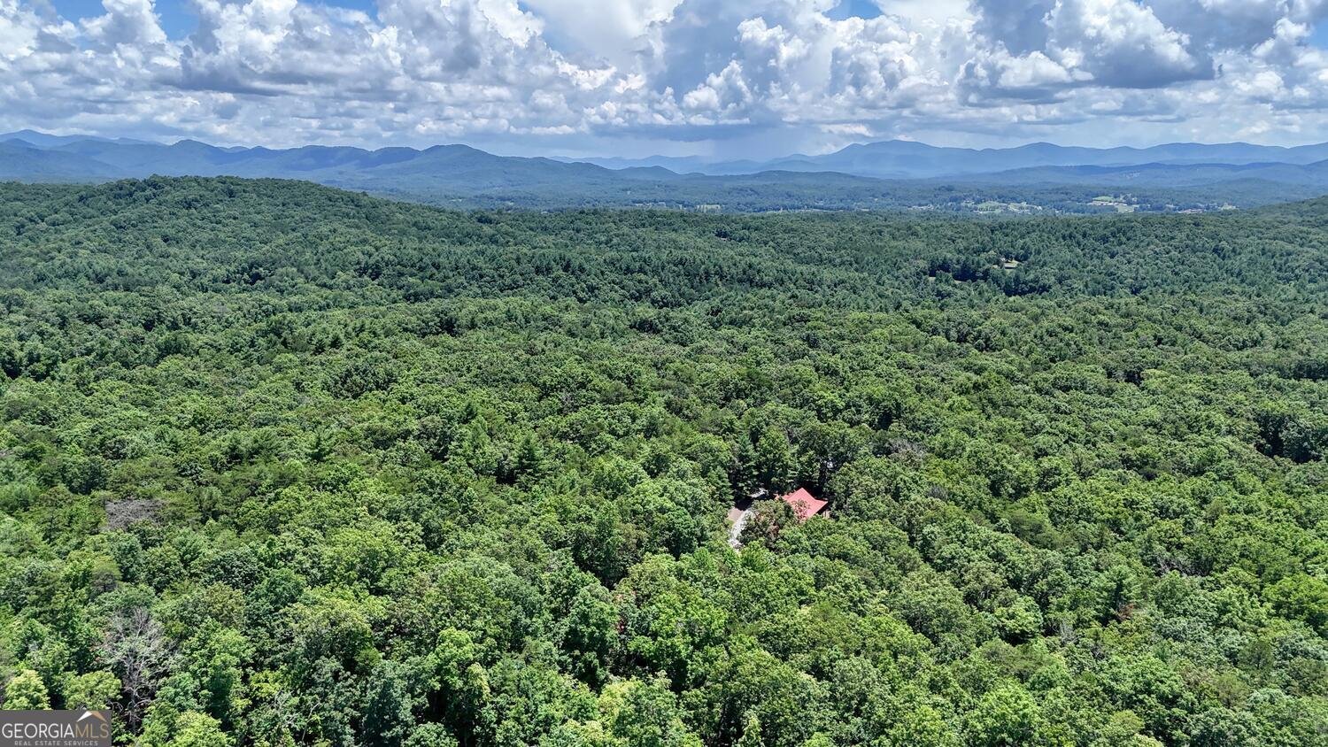885 Tomahawk Trail Blairsville - 38