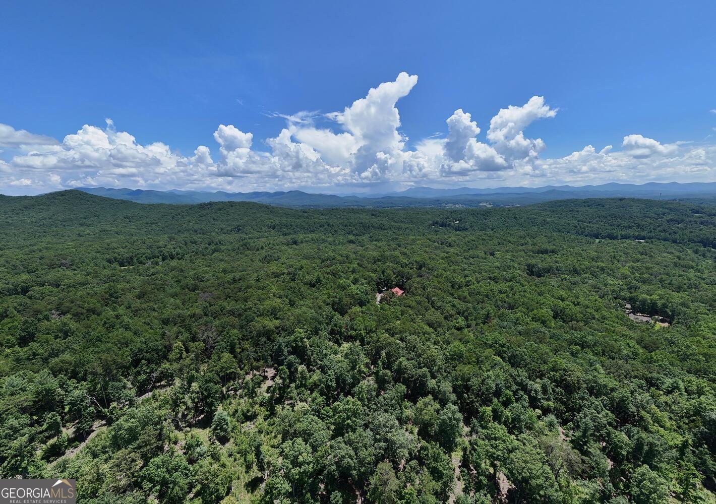 885 Tomahawk Trail Blairsville - 39