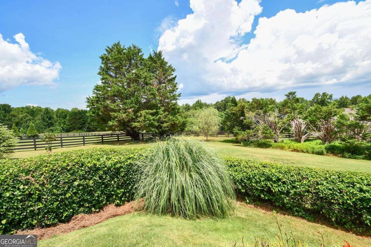 4501 Walking Stick Lane Gainesville - 59