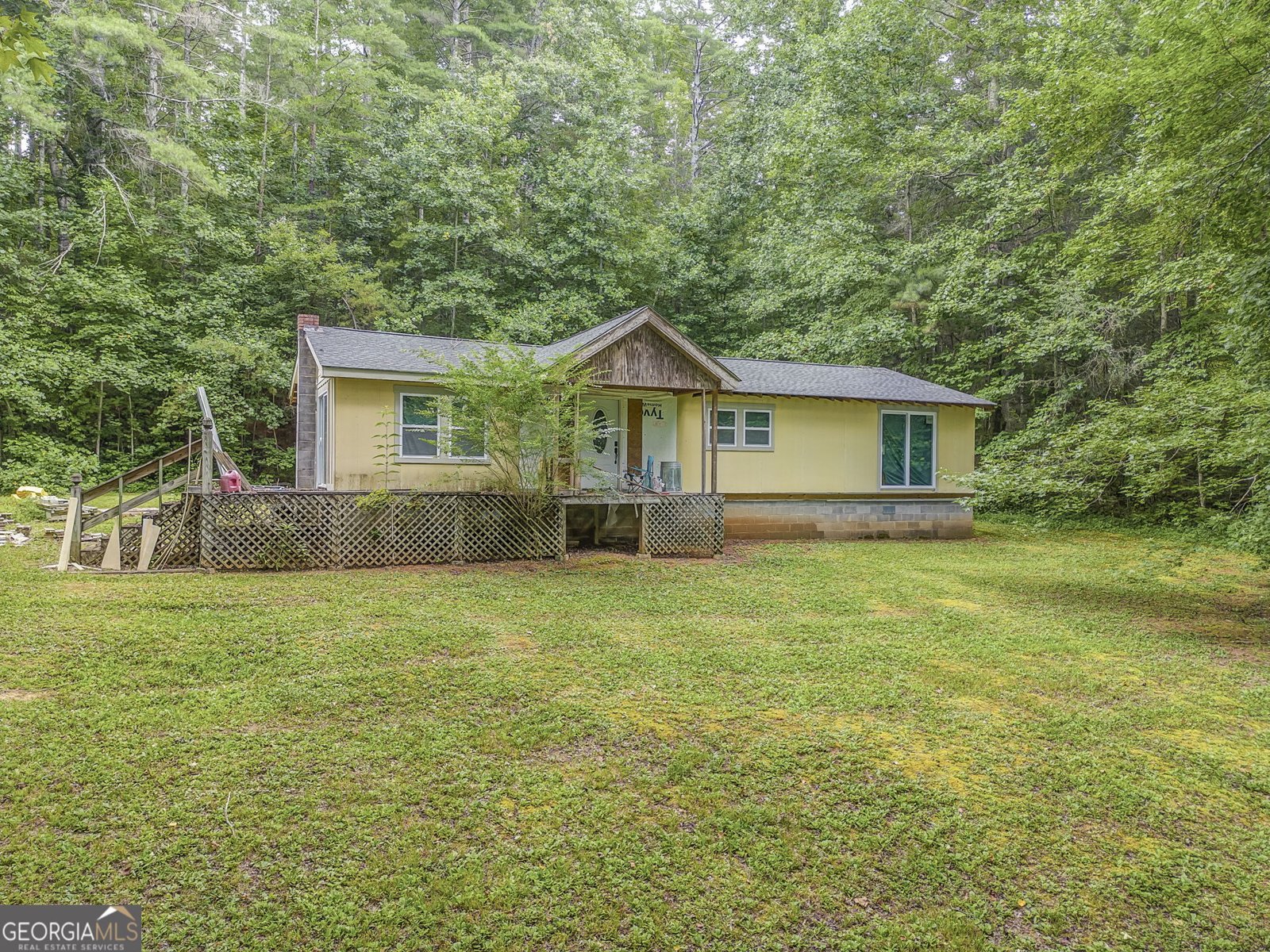 10610 Chatsworth Highway Ellijay - 1