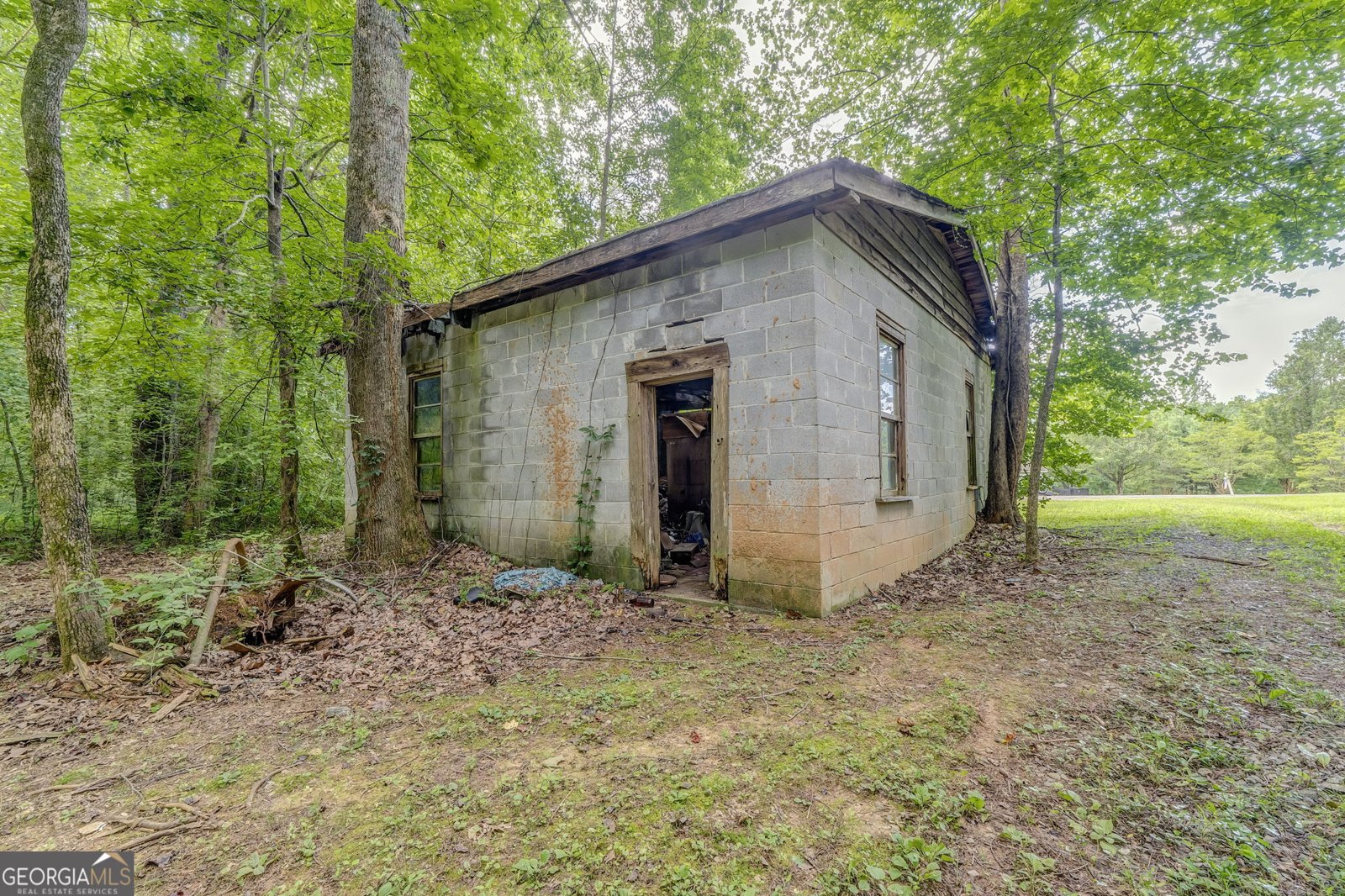 10610 Chatsworth Highway Ellijay - 10