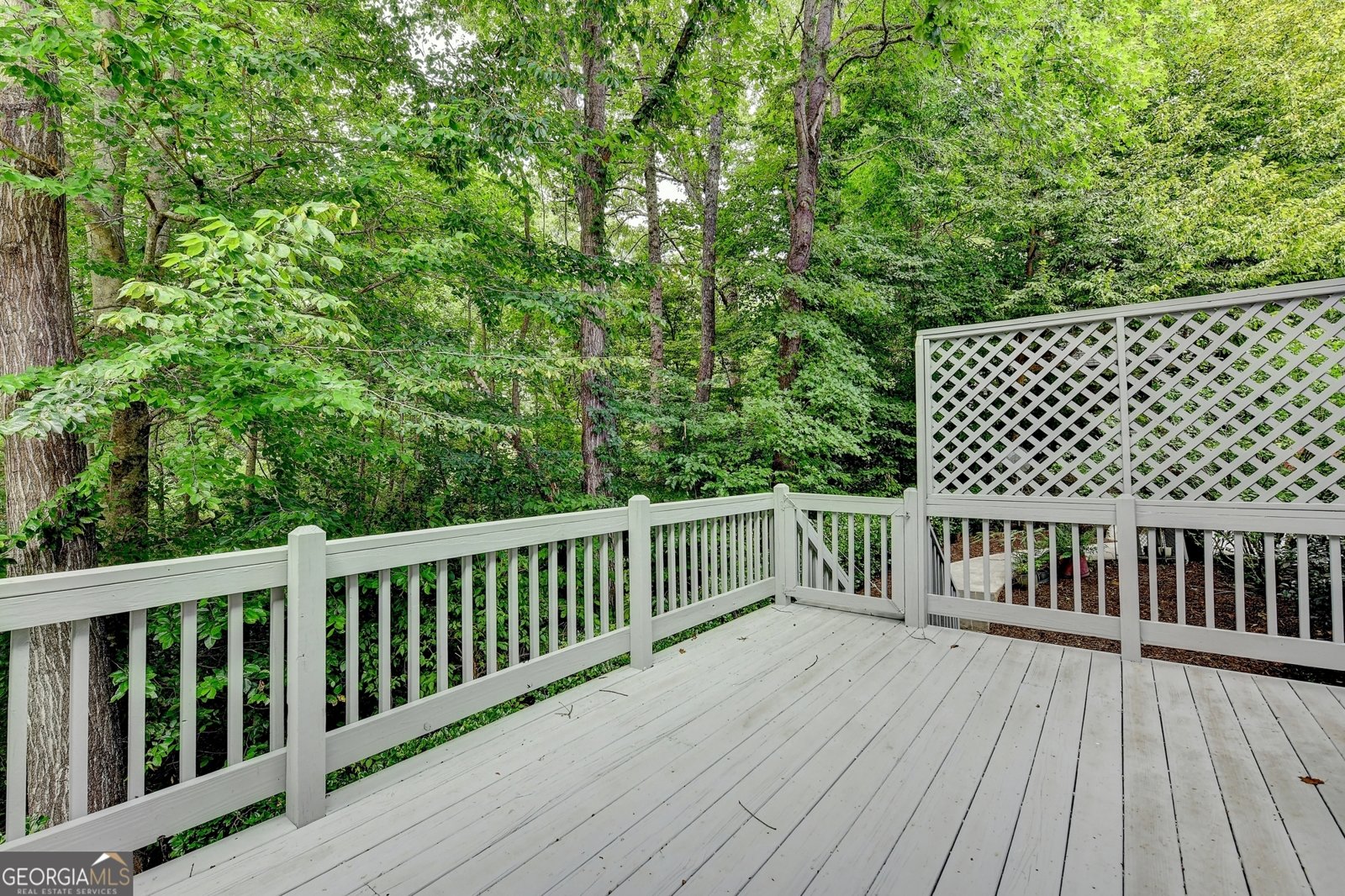 1343 Riverview Run Lane Suwanee - 27