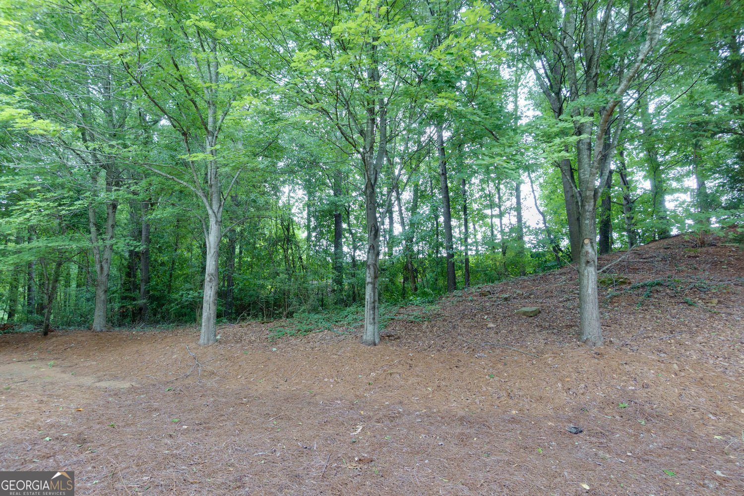1402 Bellsmith Drive Roswell - 15