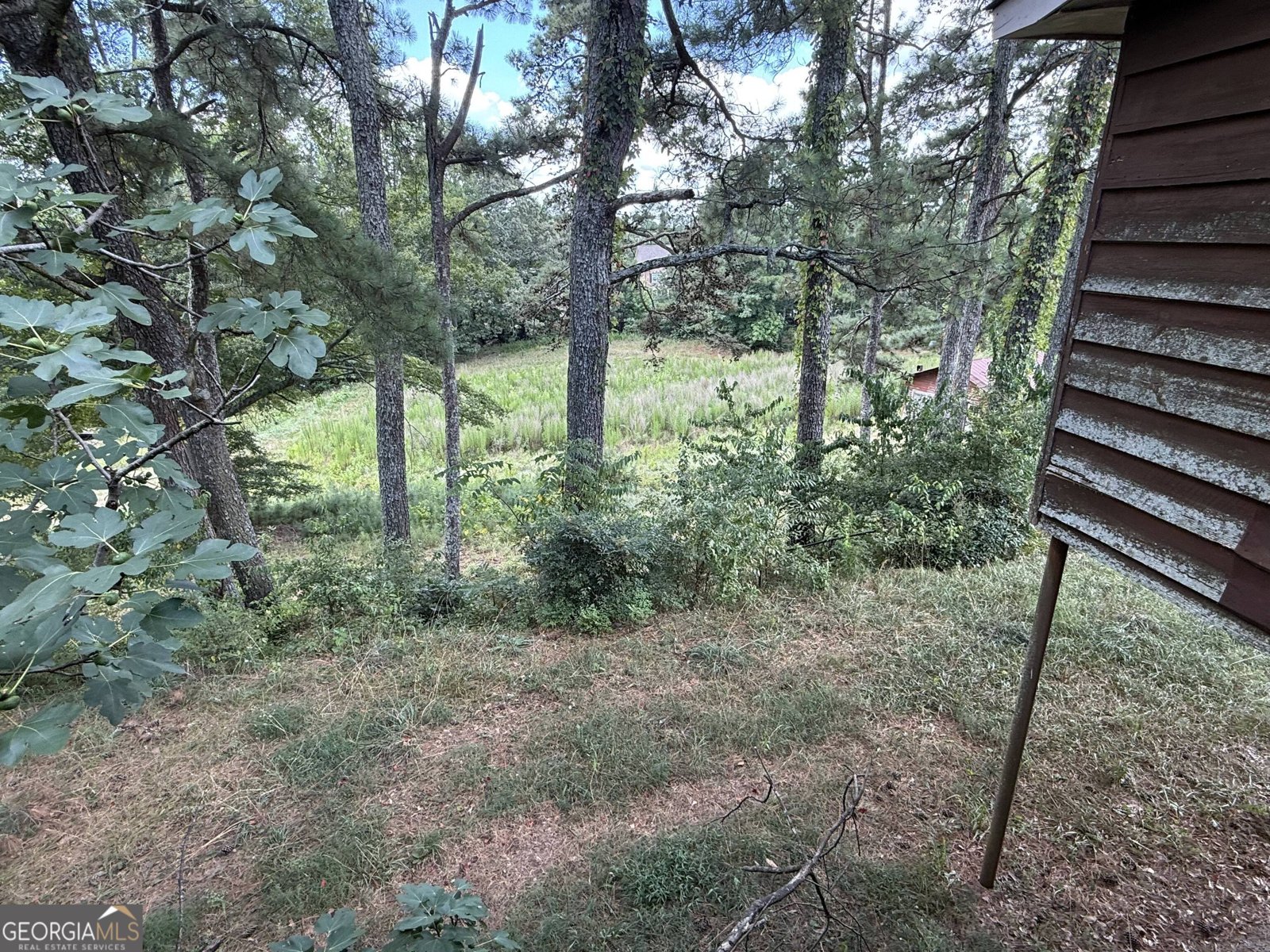 3273 Bogan Road Buford - 5
