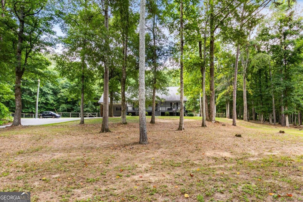 4375 Peckerwood Road Gillsville - 5