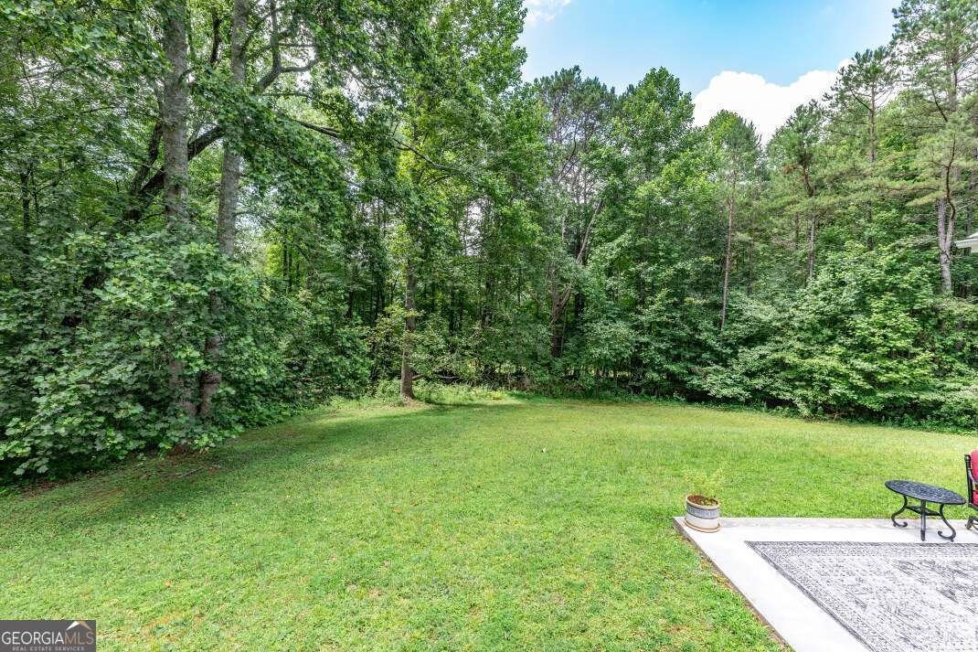 411 Piney Acres Road Blue Ridge - 25