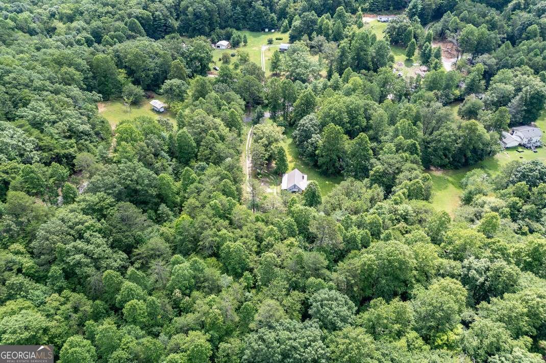411 Piney Acres Road Blue Ridge - 32