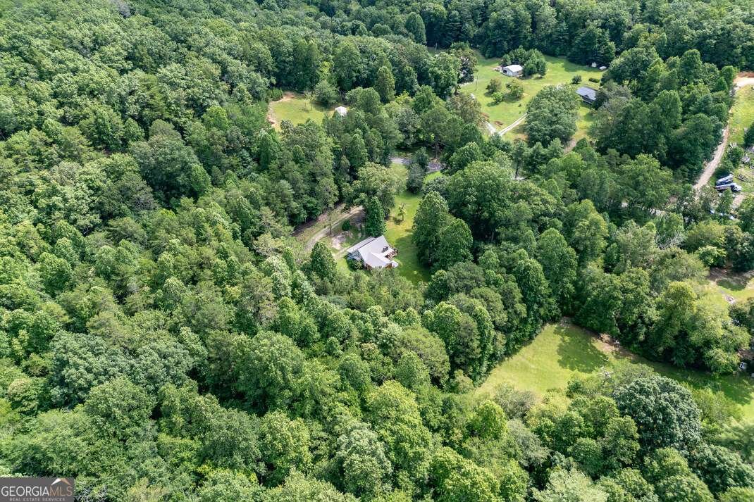 411 Piney Acres Road Blue Ridge - 33