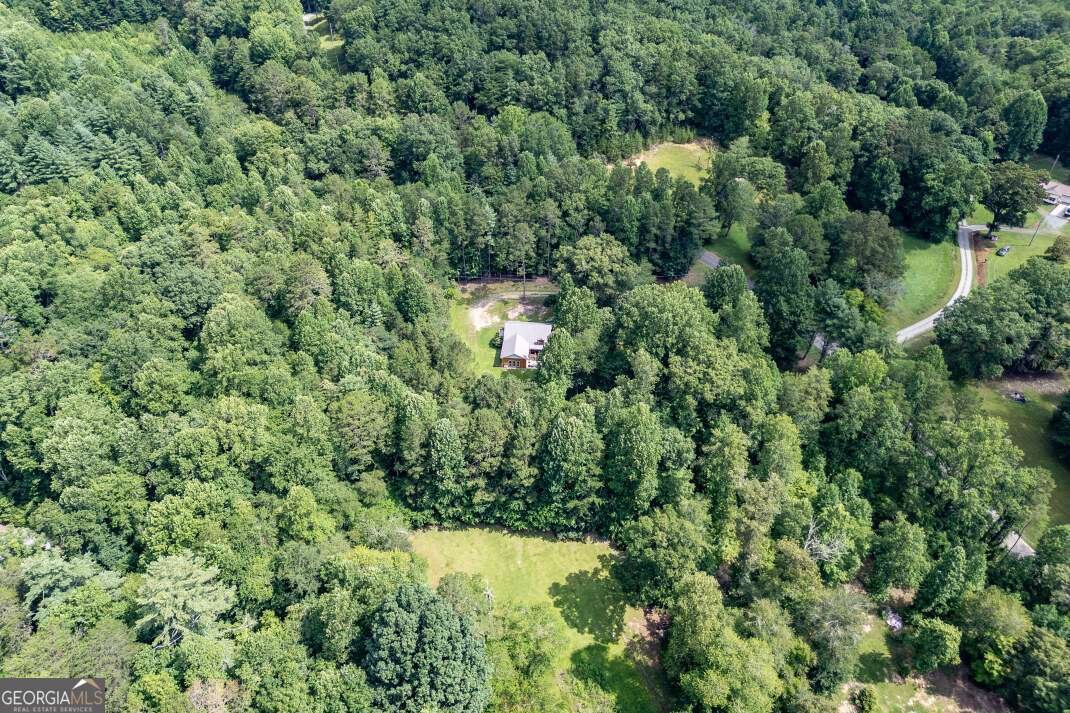 411 Piney Acres Road Blue Ridge - 34