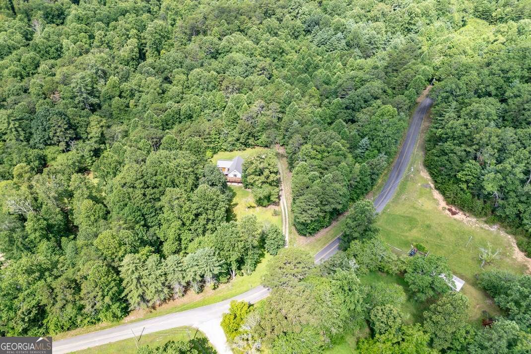 411 Piney Acres Road Blue Ridge - 35