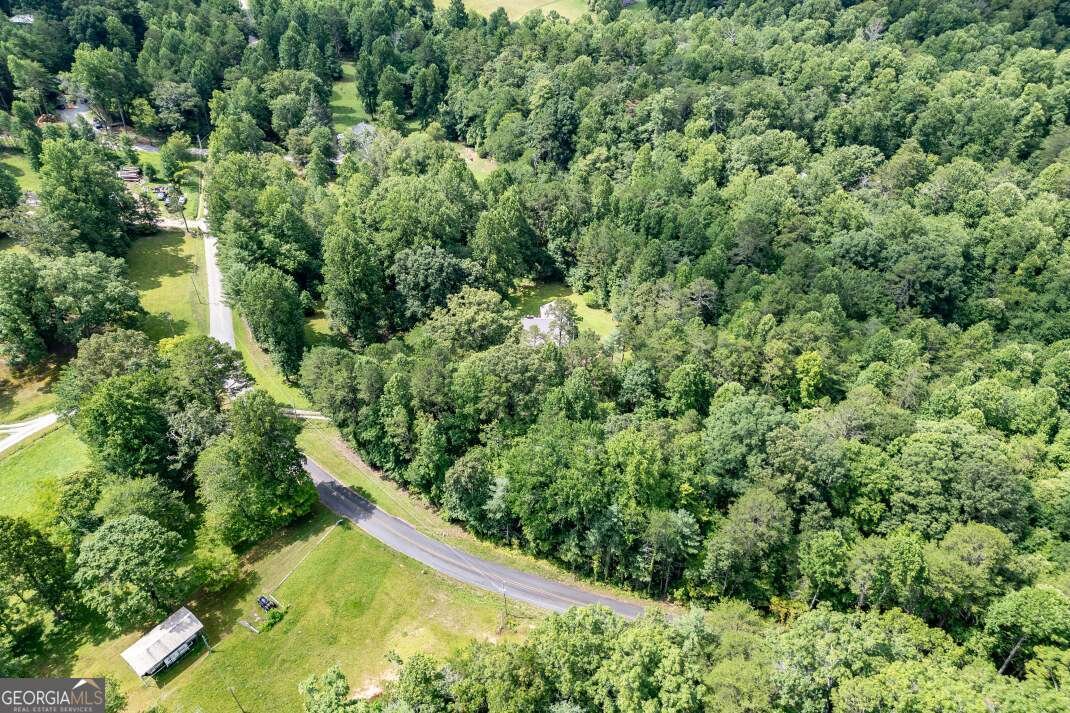 411 Piney Acres Road Blue Ridge - 36