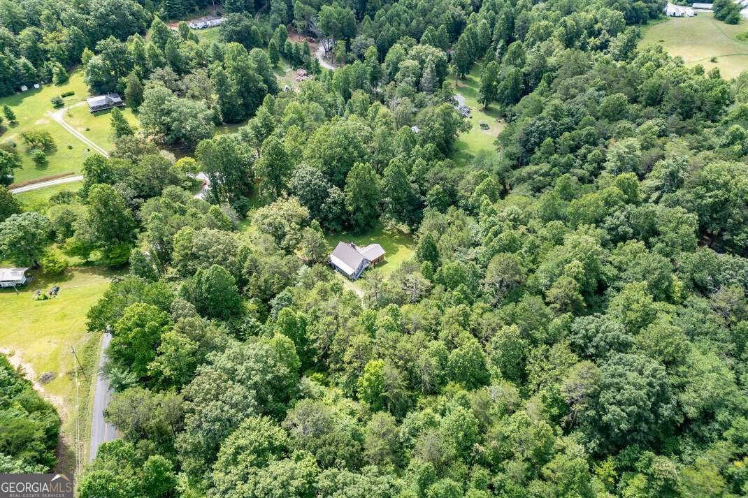411 Piney Acres Road Blue Ridge - 37