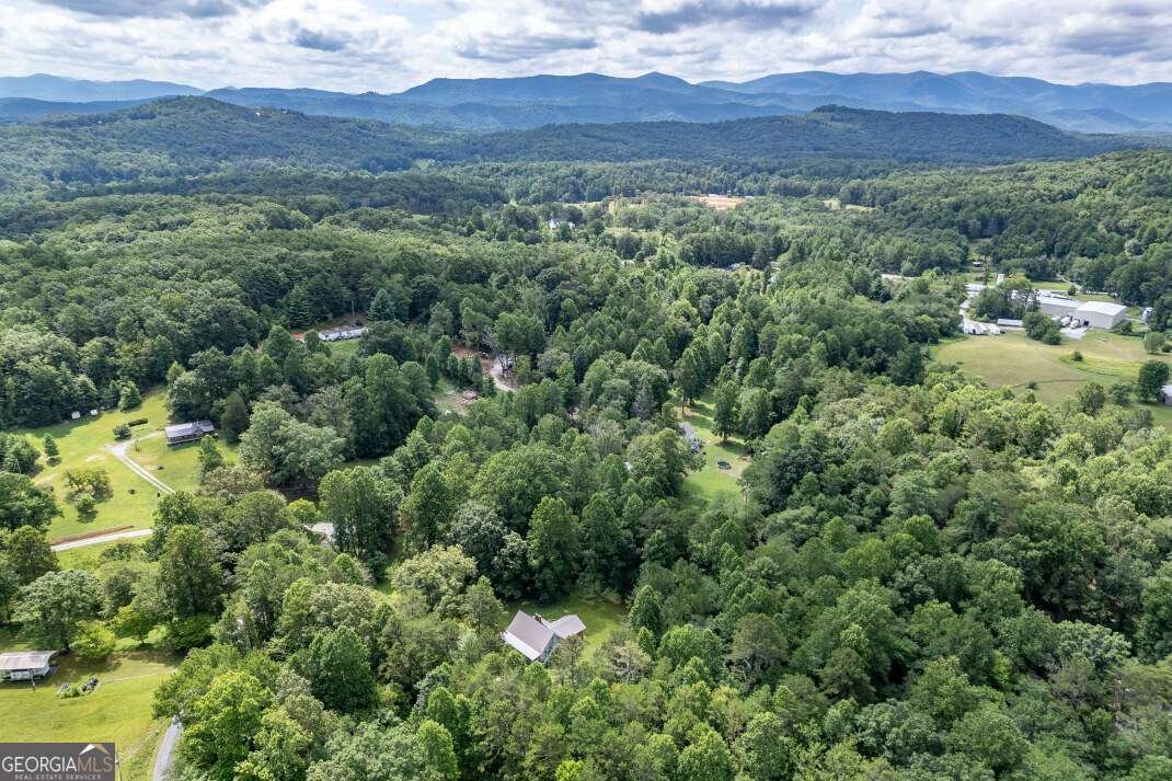 411 Piney Acres Road Blue Ridge - 38