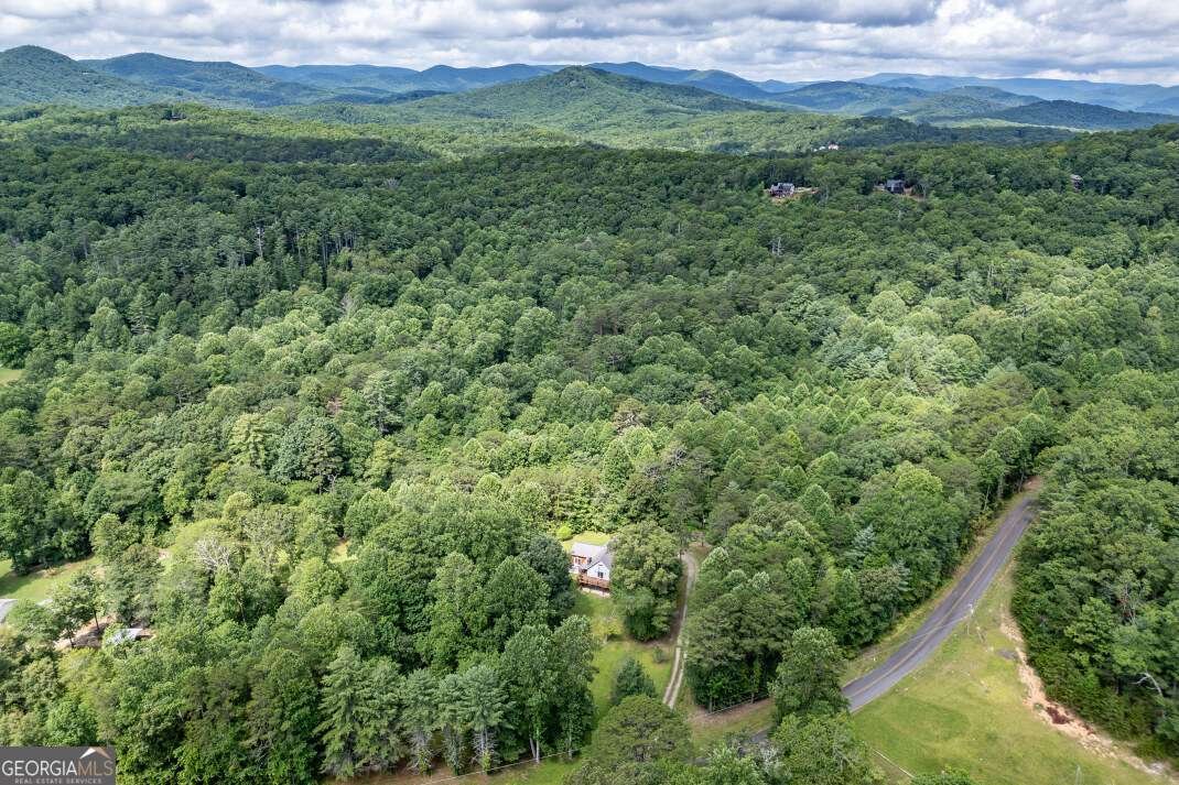 411 Piney Acres Road Blue Ridge - 39