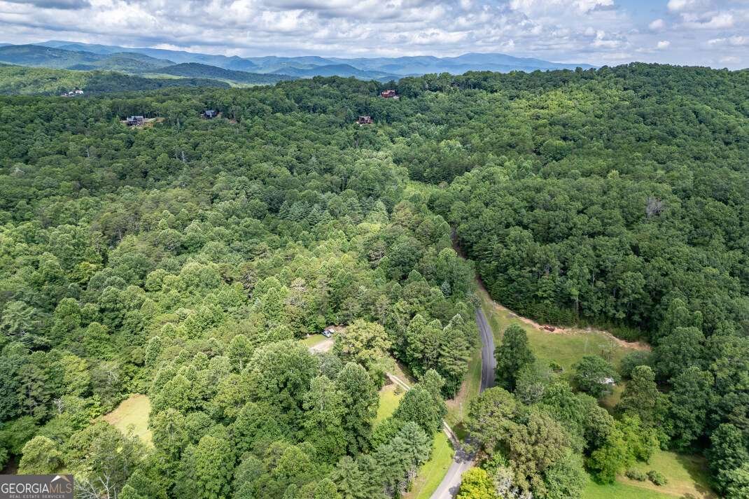 411 Piney Acres Road Blue Ridge - 40
