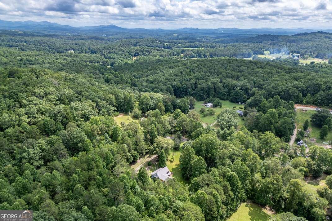 411 Piney Acres Road Blue Ridge - 41
