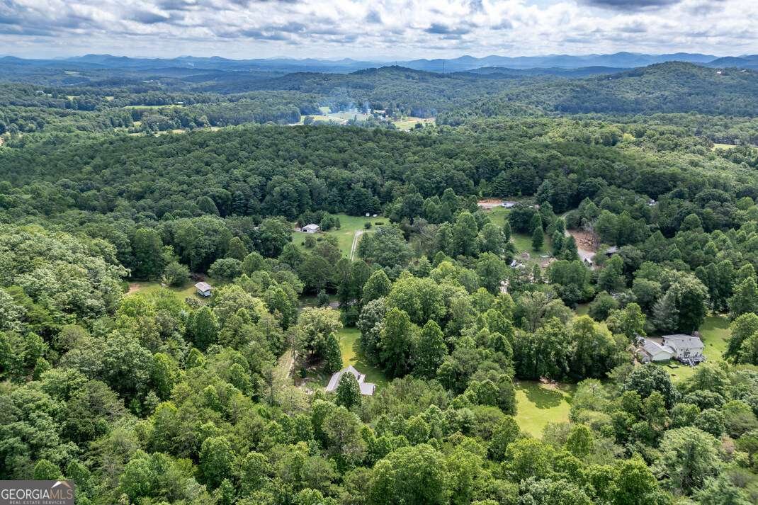411 Piney Acres Road Blue Ridge - 42