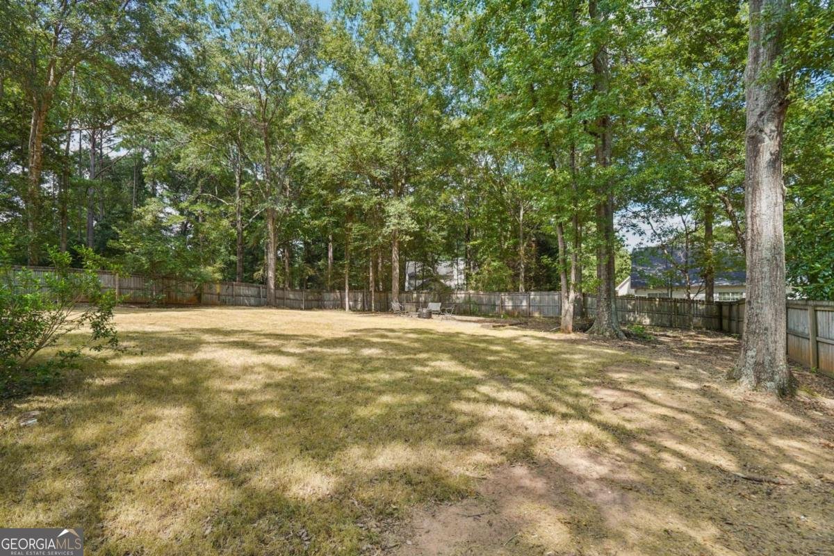 212 Shannon Court Senoia - 26