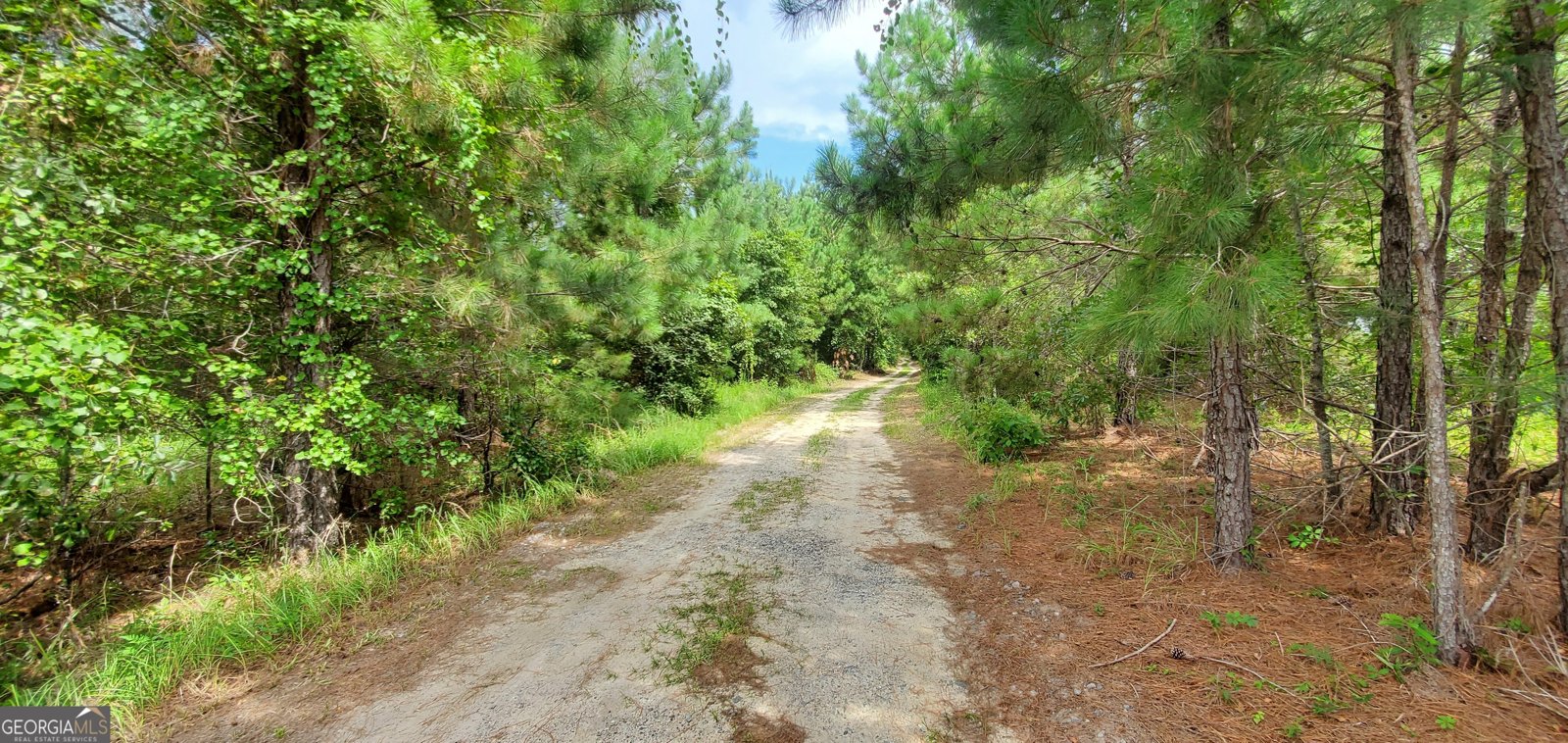 38 Highway 46 Lyons - 27