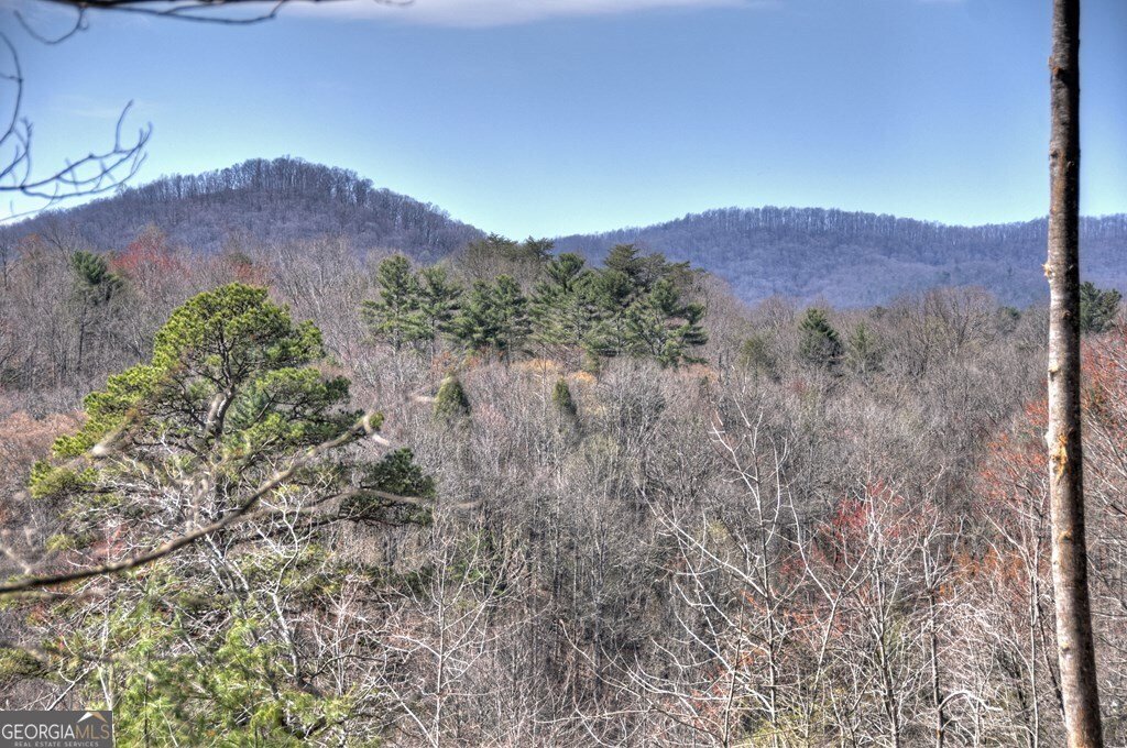 1204 Settlers Ridge Road Ellijay - 2