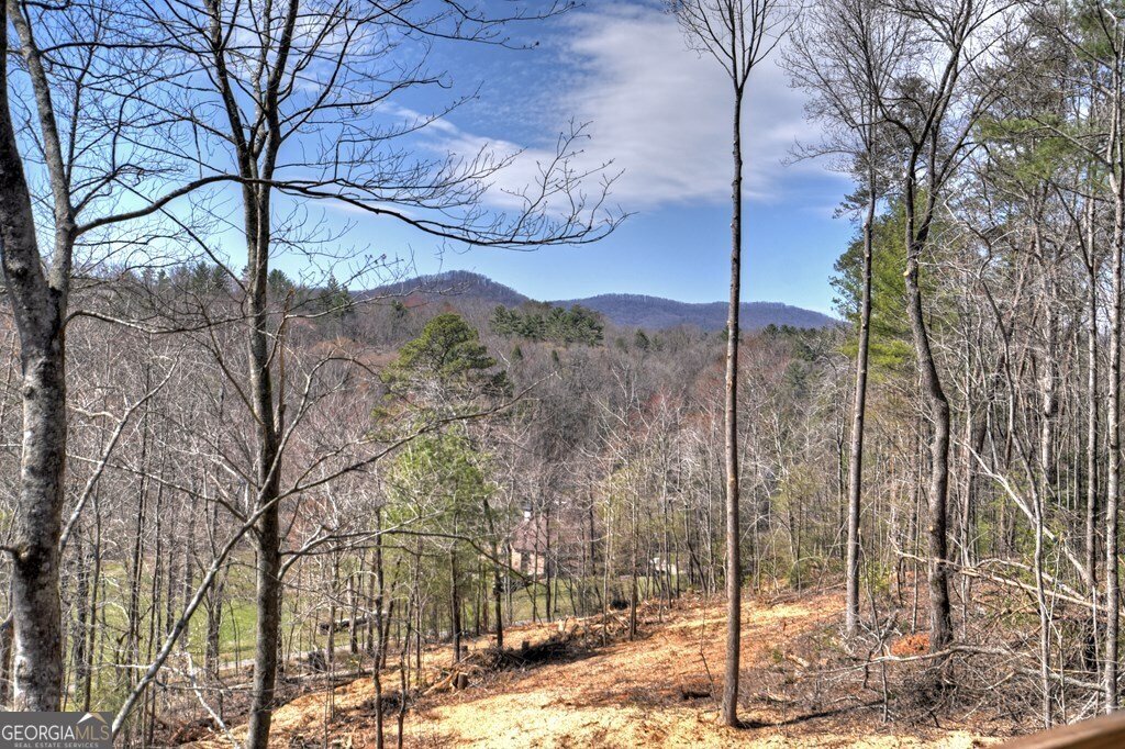 1204 Settlers Ridge Road Ellijay - 7