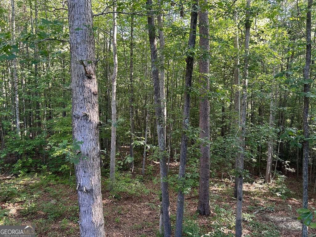 367 TANNER FARM Drive Rockmart - 27