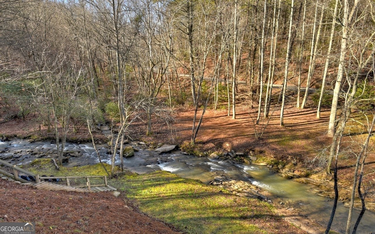 62 Ford Road Blue Ridge - 31