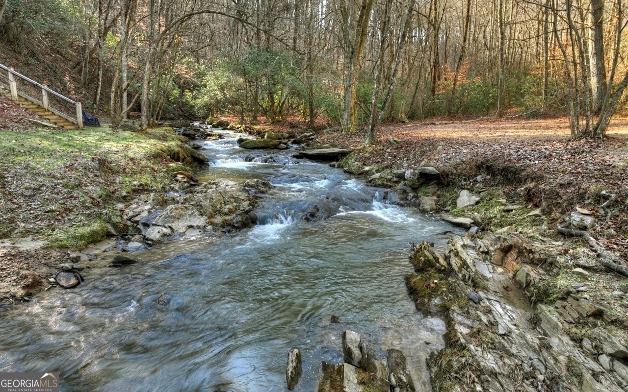 62 Ford Road Blue Ridge - 66