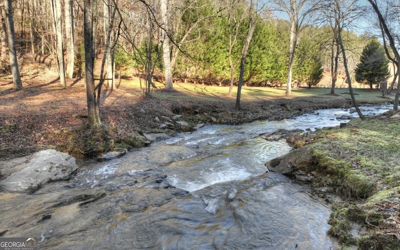 62 Ford Road Blue Ridge - 70