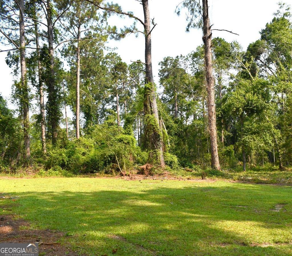 119 Horseshoe Loop Swainsboro - 2