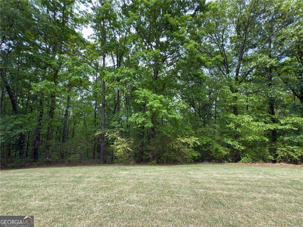 1251 Old Mill Road Ball Ground - 10
