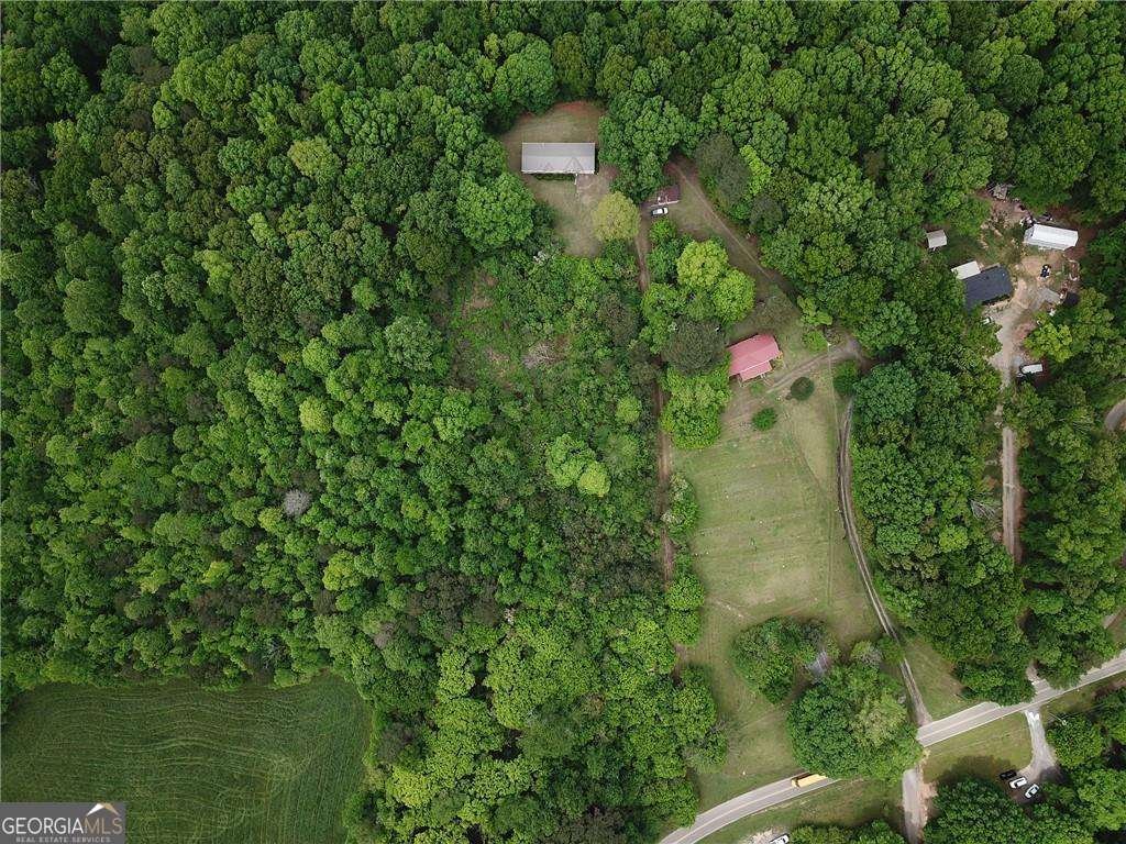 1251 Old Mill Road Ball Ground - 3