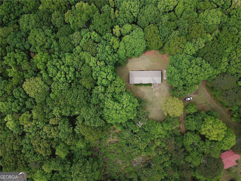 1251 Old Mill Road Ball Ground - 4