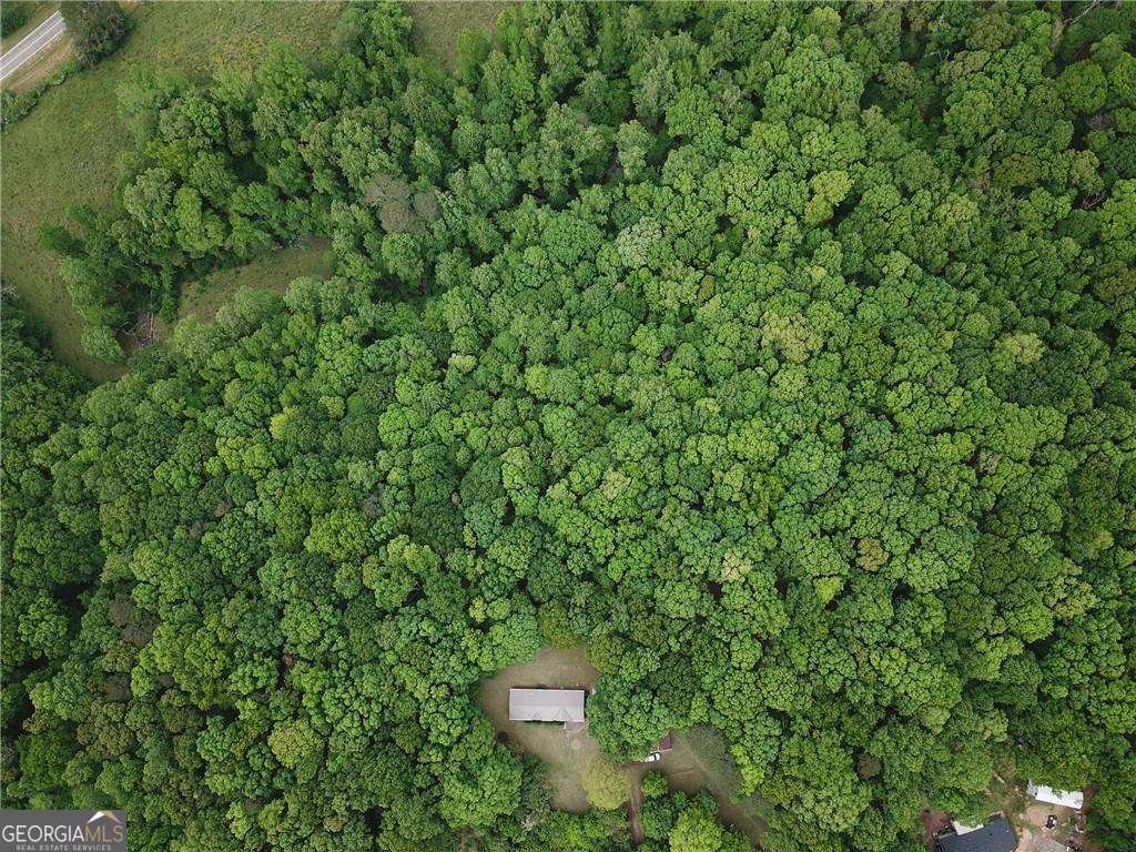 1251 Old Mill Road Ball Ground - 5