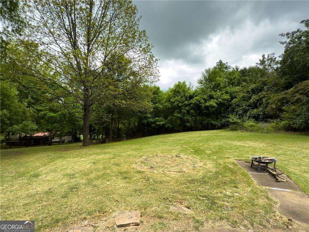 1251 Old Mill Road Ball Ground - 7