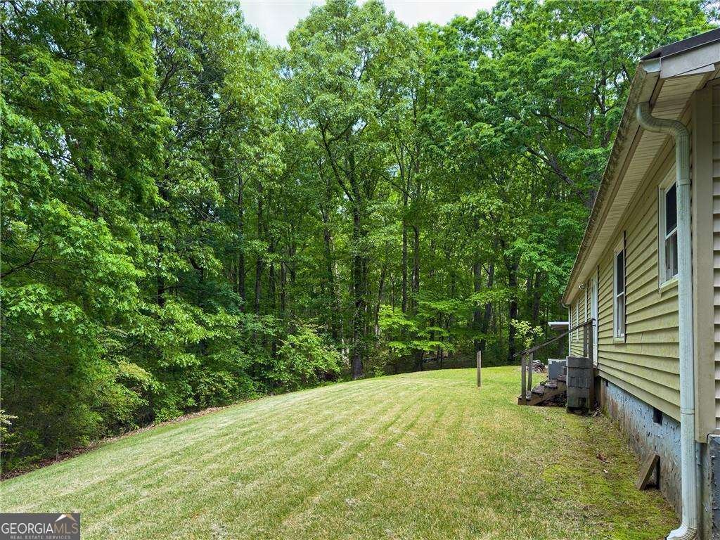 1251 Old Mill Road Ball Ground - 8