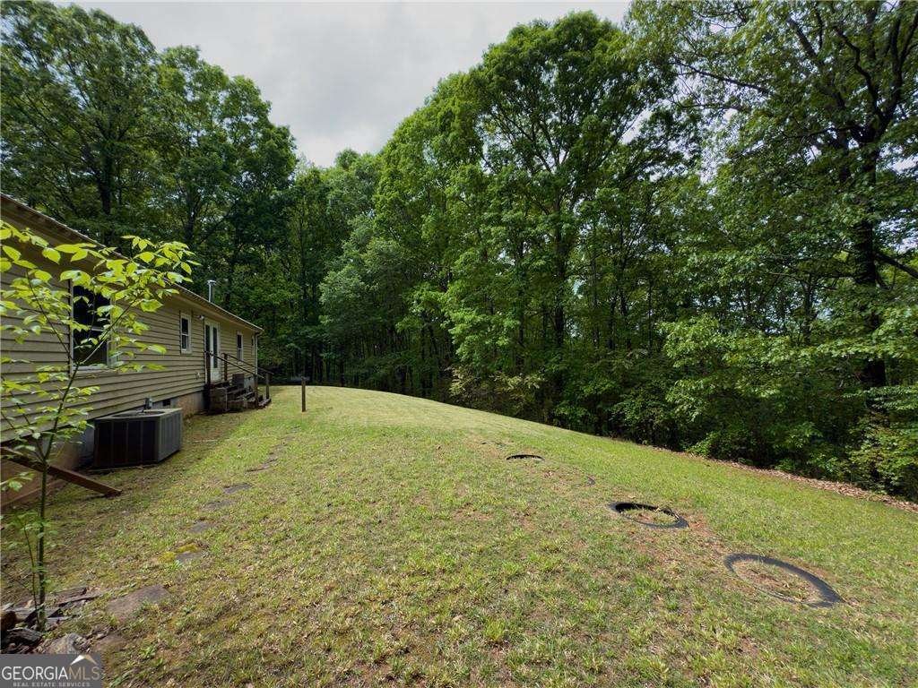 1251 Old Mill Road Ball Ground - 9