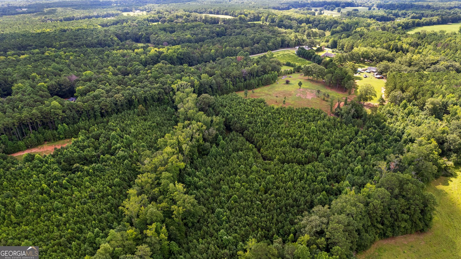 351 East Milner Road Zebulon - 56