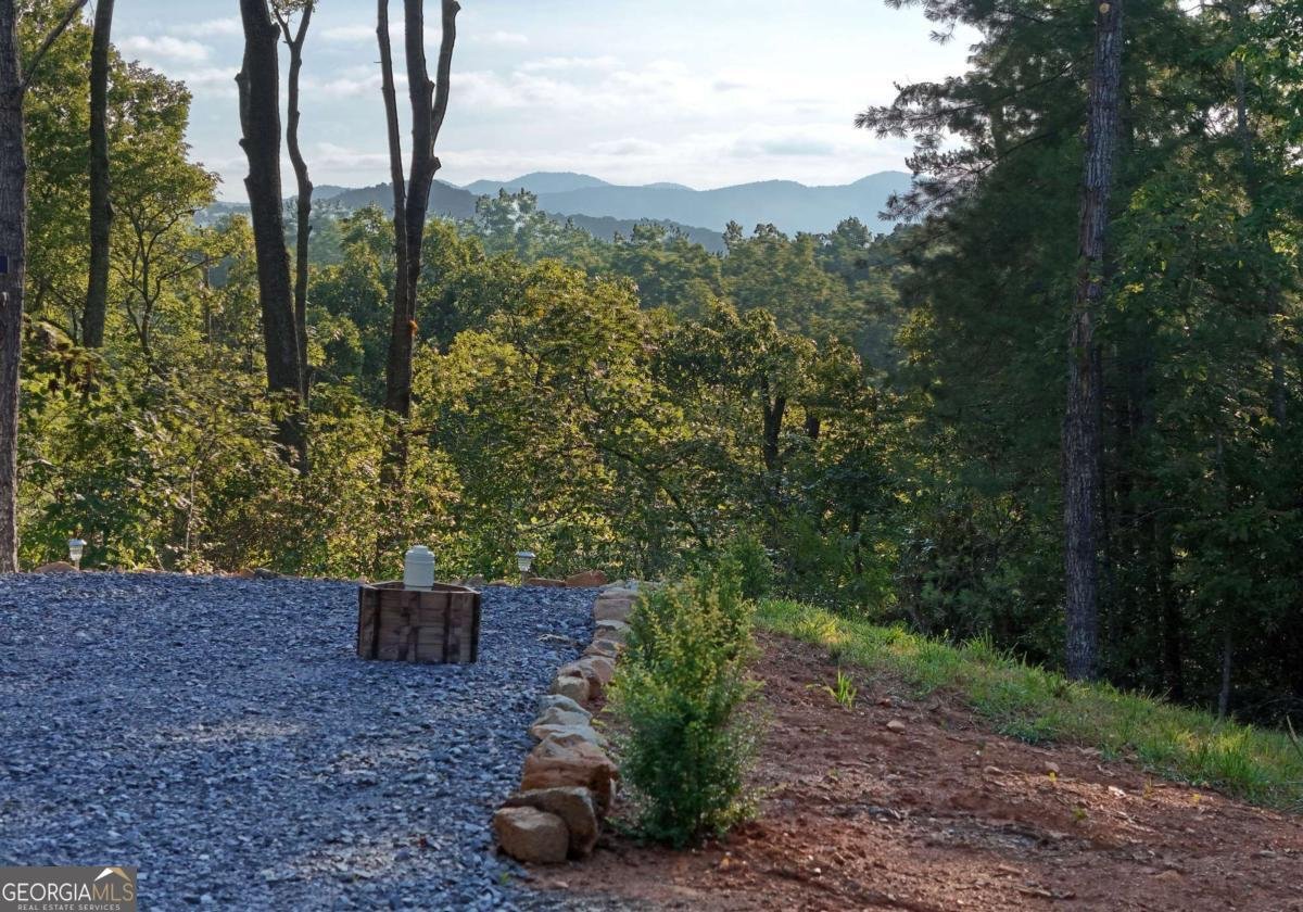 975 Bunker Hill Road Blairsville - 2