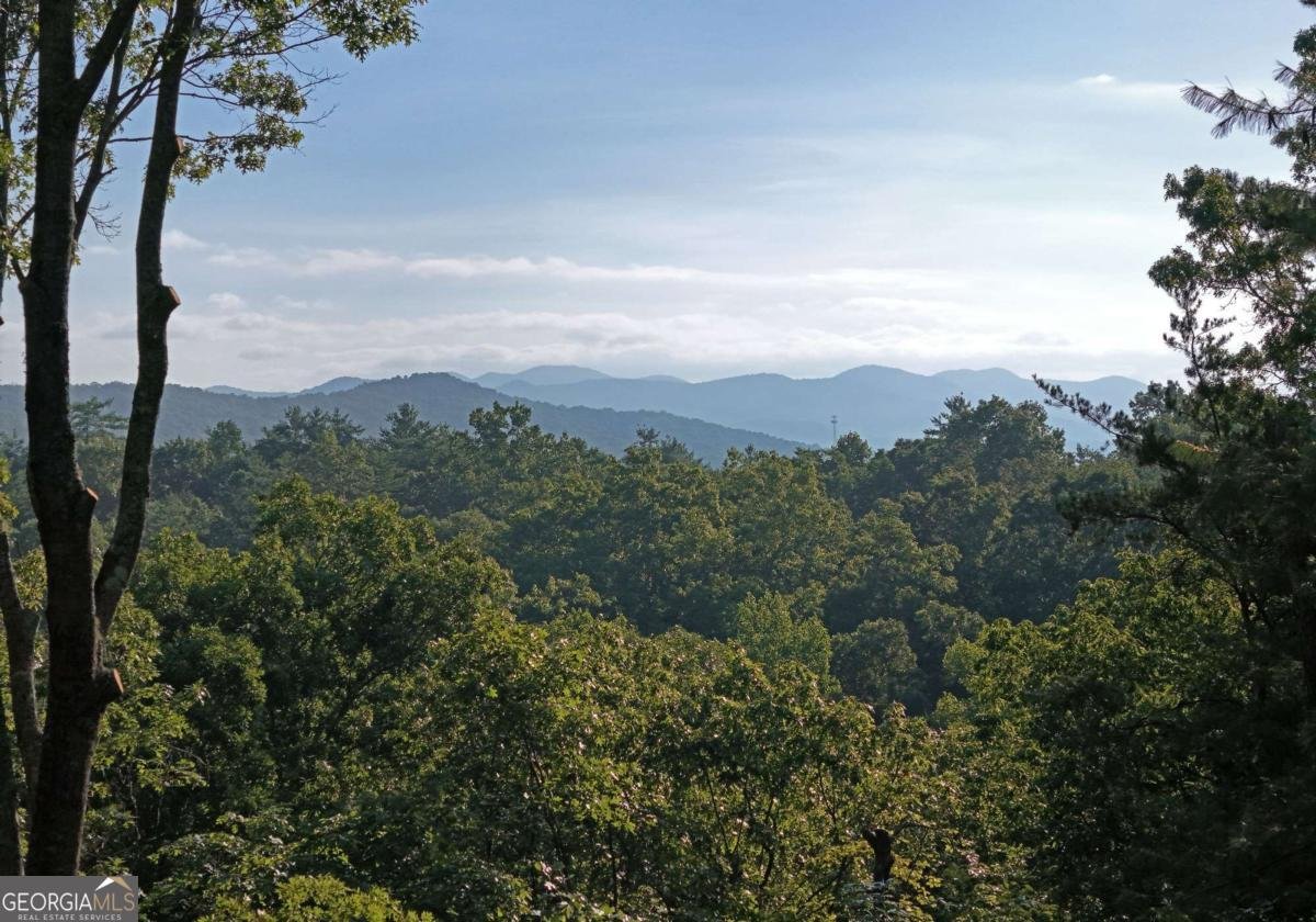 975 Bunker Hill Road Blairsville - 3