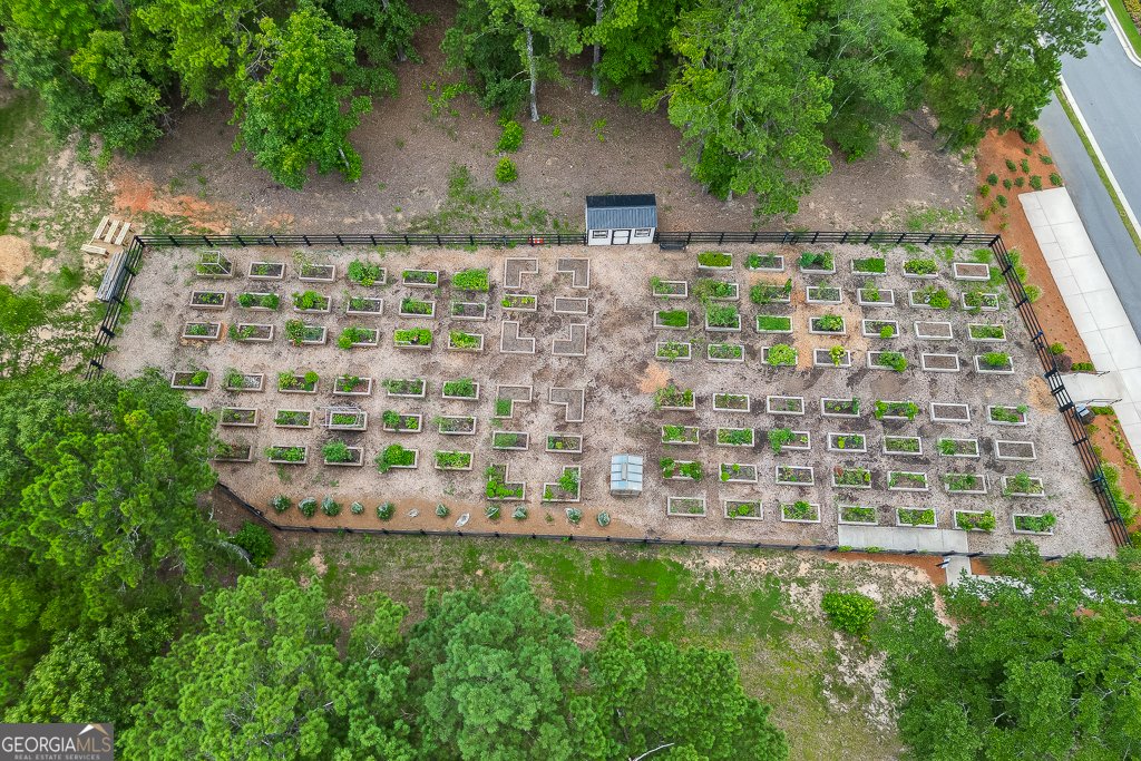 168 Chatuge Drive Hoschton - 49