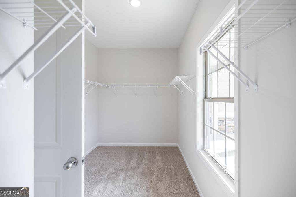 210 Bald Cypress Drive Perry - 15