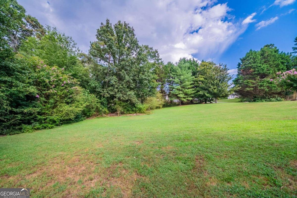 1307 Stream Walk Drive Loganville - 25