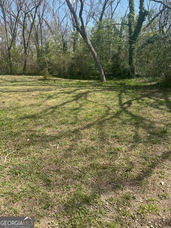 1243 Hill Street Conyers - 31