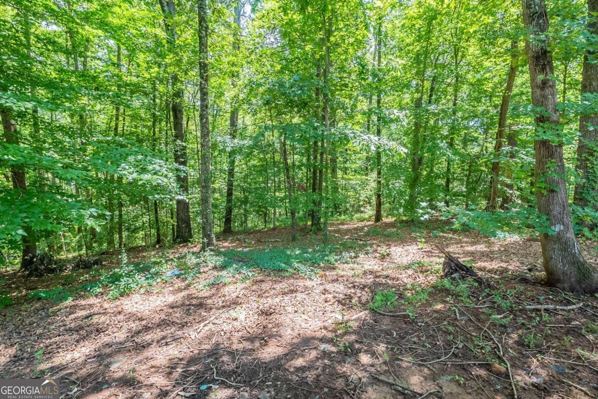 6556 Willow Lane Winston - 29