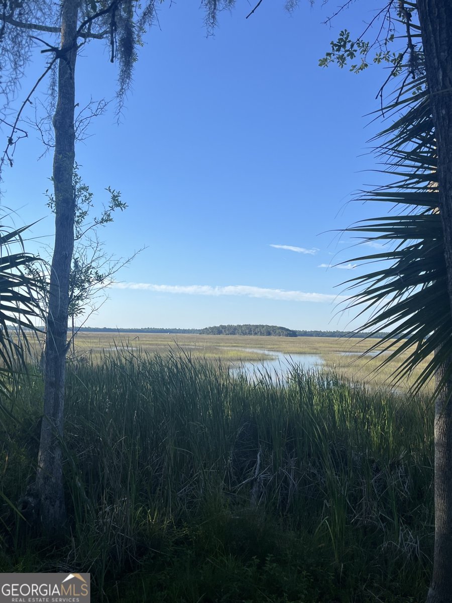 151 Laurel Marsh Way Kingsland - 68