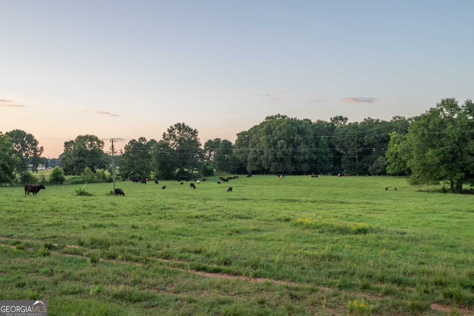 105 Breedlove Covington - 36
