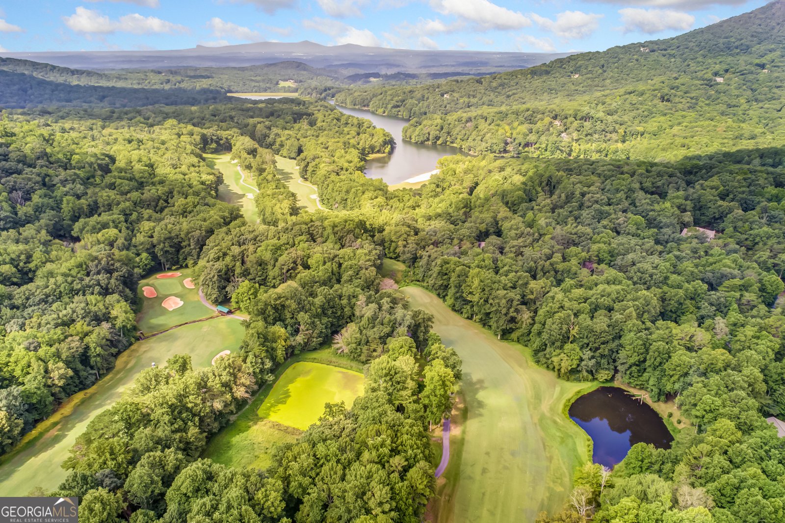 771 Little Hendricks Mountain Road Jasper - 38