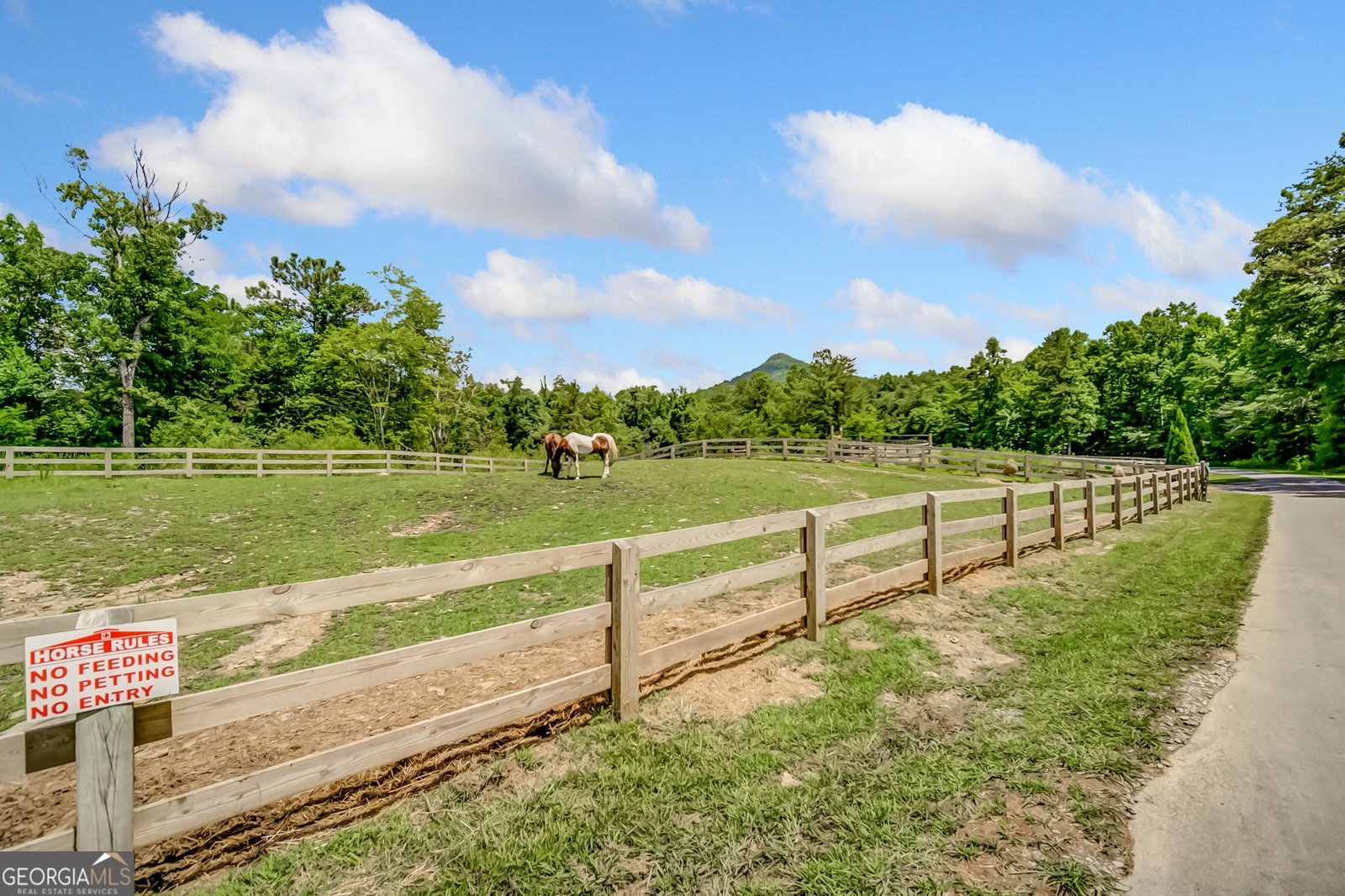 771 Little Hendricks Mountain Road Jasper - 44