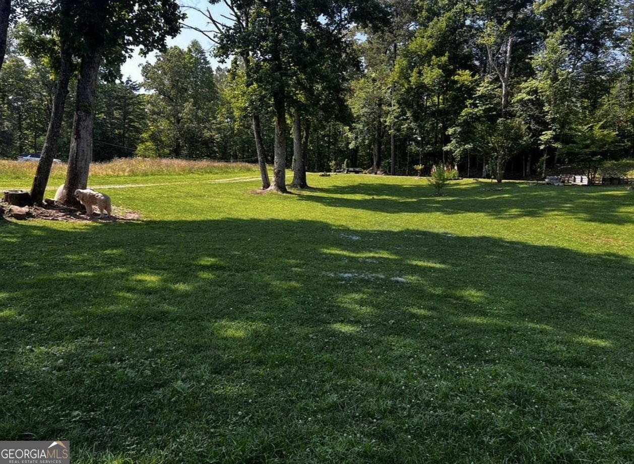 362 Old Dial Road Morganton - 5